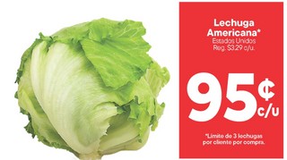 Lechuga americana
