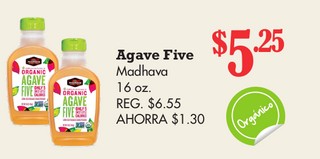 Agave Five Madhava